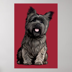 Póster Cairn Terrier