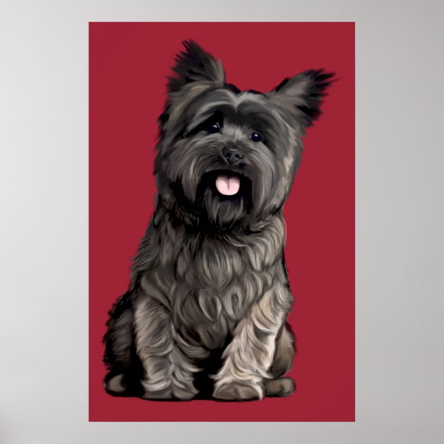 Póster Cairn Terrier (Frente)