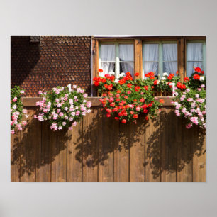 Póster caja de flores suiza