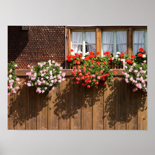 Póster caja de flores suiza (Frente)