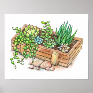 Póster Caja de Planter de éxito