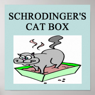 Póster caja de schrodinger