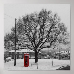 Póster Caja de teléfono en la nieve