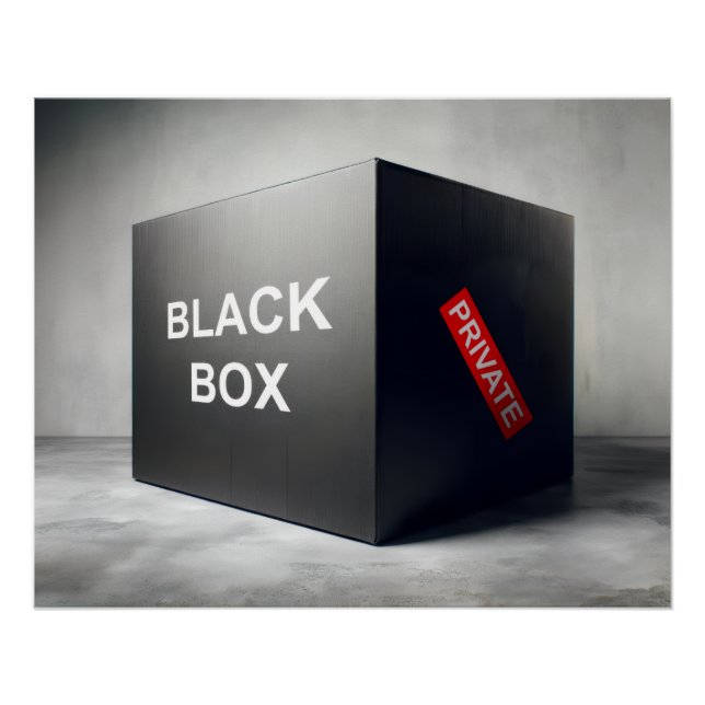 Póster Caja Negra (Anverso)