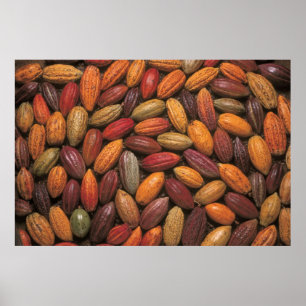 Póster Cajas de cacao