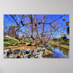 Póster Cala de Aliso, Condado de Orange California