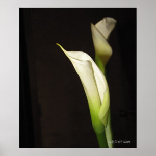 Póster Cala Lily Duo Poster