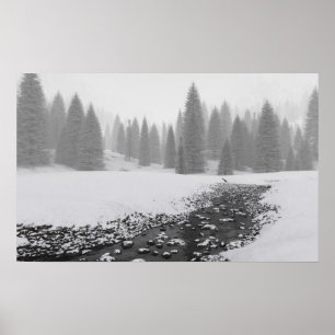 Póster Cala Nevado