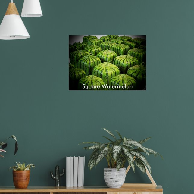 Póster Calabacín Cuadrado de Sandía Estampado (Salón 1)