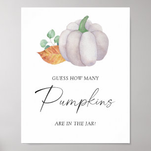 Póster Calabaza blanca -adivina cuántas calabazas