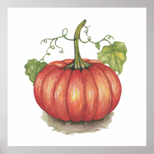 Póster Calabaza Cubierta Con Vines En Acuarela