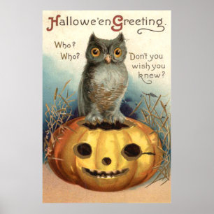 Póster Calabaza de búho linterna de Jack O Lantern