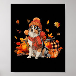 Póster Calabaza de leopardo de la caída del pastor austra