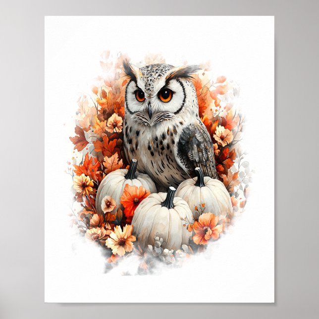 Póster Calabaza de Owl Country (Frente)