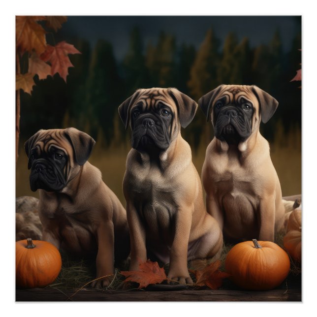 Póster Calabaza deslumbrante de bullmastiff Puppy otoño (Anverso)