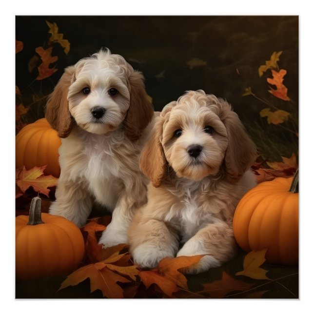 Póster Calabaza deslumbrante de cachorro de Cockapoo (Anverso)