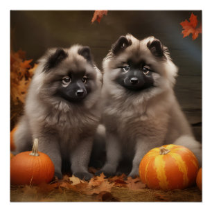 Póster Calabaza deslumbrante de Keeshond Puppy Autumn