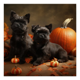 Póster Calabaza deslumbrante del otoño de la cachorro del
