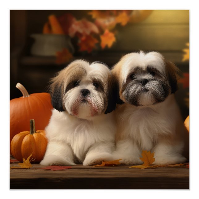 Póster Calabaza deslumbrante Lhasa Apso Puppy Autumn (Anverso)