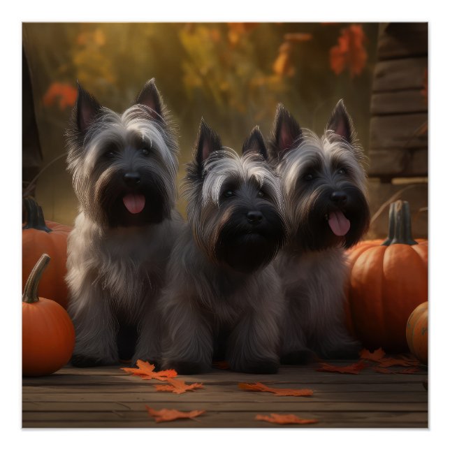 Póster Calabaza deslumbrante Skye Terrier Puppy Autumn (Anverso)