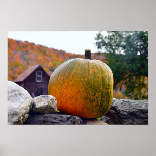 Póster Calabaza en un muro de piedra de Vermont en otoño