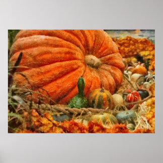 Póster Calabaza - Grandes Calabazas