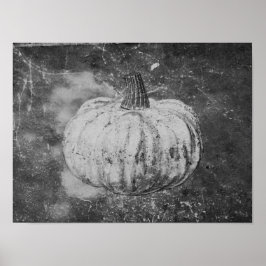 Póster Calabaza Textura Vintage Negra Y Blanca Del Otoño