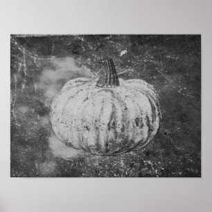 Póster Calabaza Textura Vintage Negra Y Blanca Del Otoño