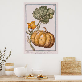 Póster Calabaza vintage de Giorgio Bonelli