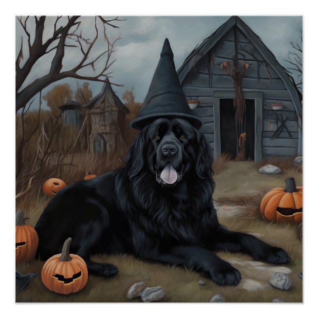 Póster Calabazas de Halloween de Terranova Asustadoras  (Anverso)