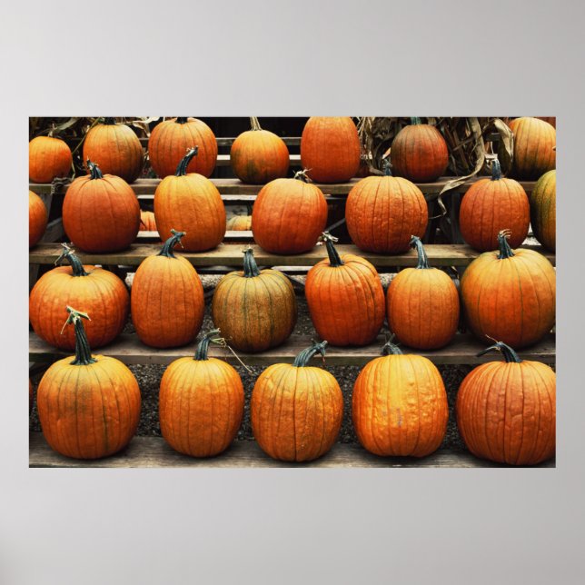 Póster Calabazas de otoño (Frente)