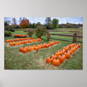 Póster Calabazas en venta, New York Farm
