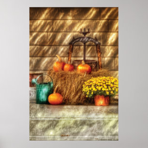 Póster Calabazas - Una naturaleza muerta con calabazas