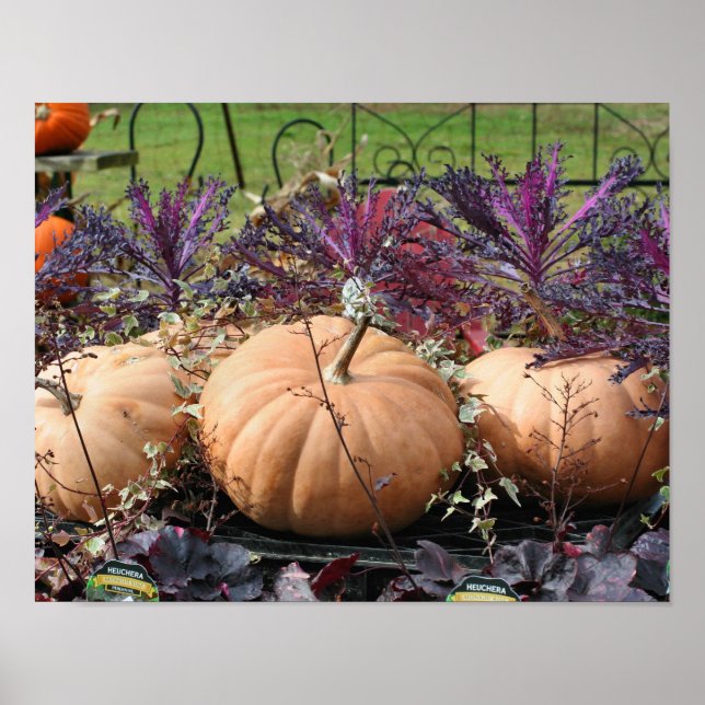 Póster Calabazas Y Plantas Caídas (Frente)