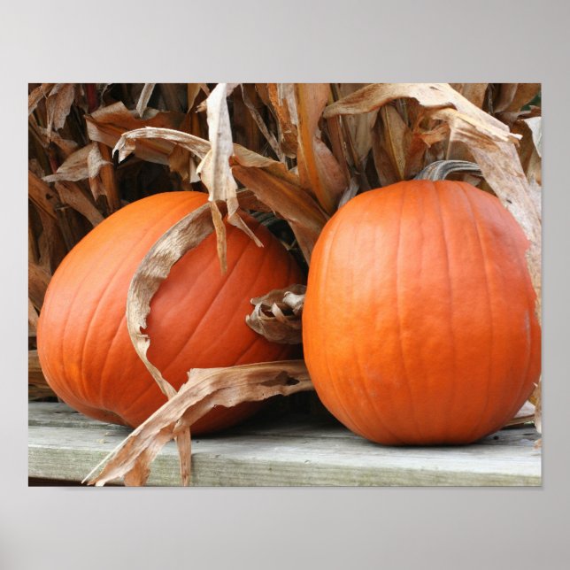 Póster Calabazas Y Saltos De Maíz Secos Otoño (Frente)