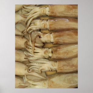 Póster Calamari