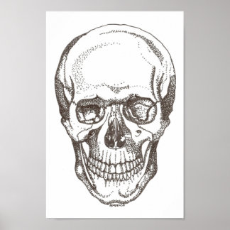 Póster calavera