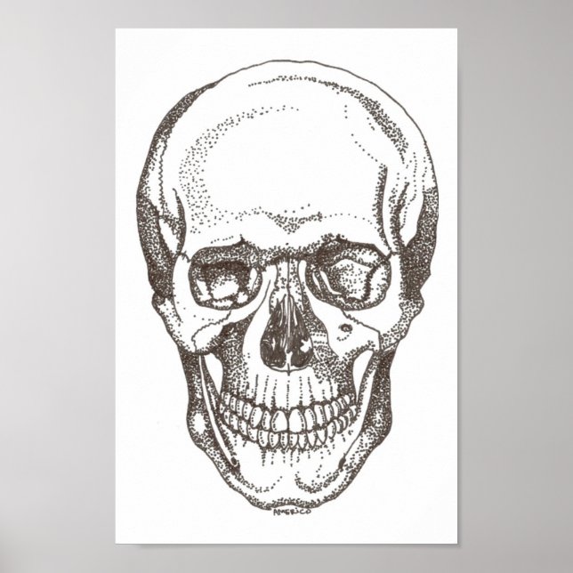 Póster calavera (Frente)