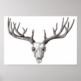 Póster Calavera de ciervos vintage/Antlers