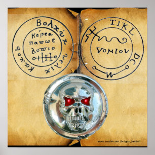 PÓSTER CALAVERA DE CROMO Y MAPA DEL TESORO DE PIRATAS ANT