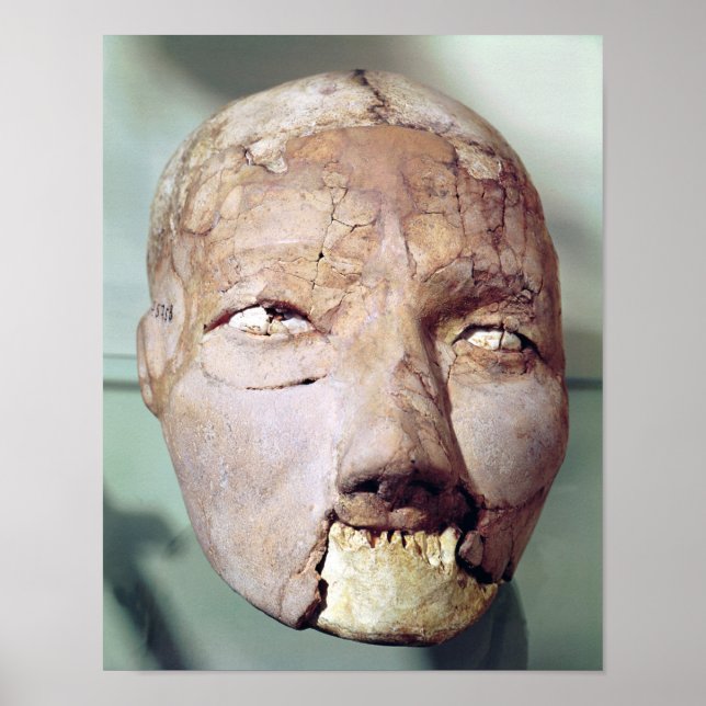 Póster Calavera, de Jericó, 7000-6000 a.C. (Frente)