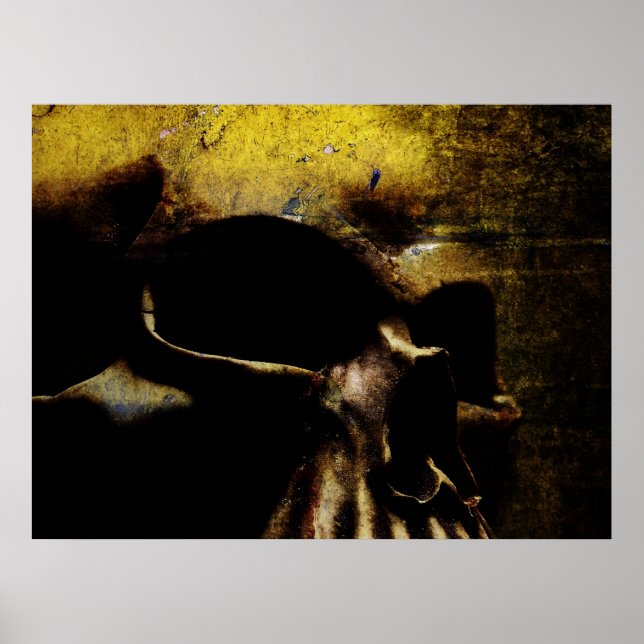 Póster Calavera de lienzo (Frente)