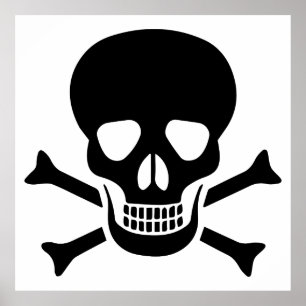 Póster Calavera humana