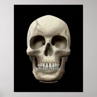 Póster Calavera resquebrajada