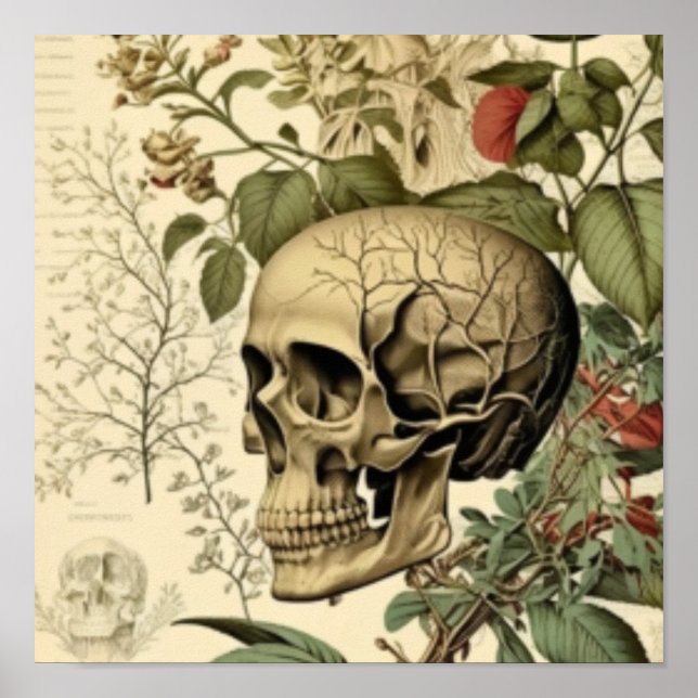 Póster Calavera y botánica victoriana (Frente)