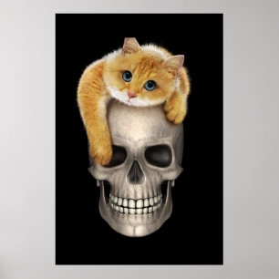 Póster Calavera y gato