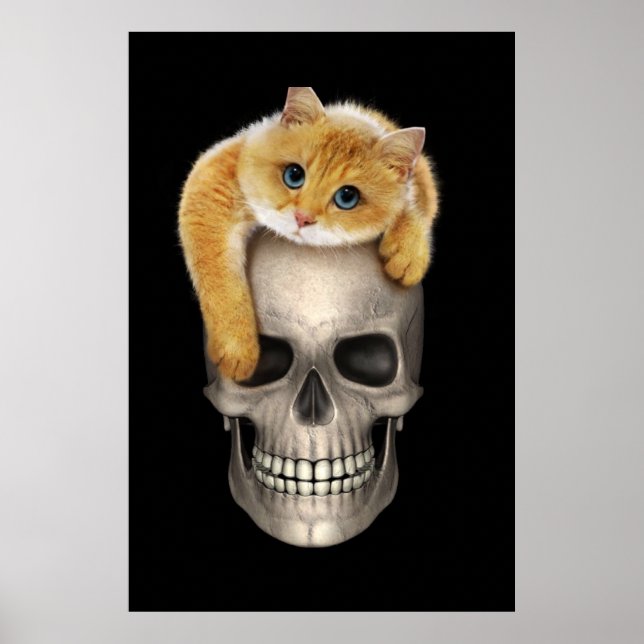 Póster Calavera y gato (Frente)