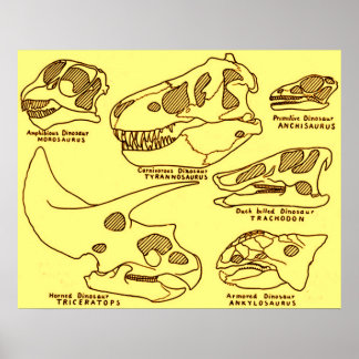 Póster Calaveras de dinosaurio