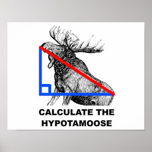 Póster Calcular el divertido cartel de Hypotamoose