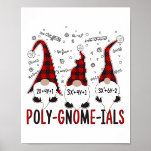 Póster Cálculo de polinomios divertidos Álgebra Polinomio